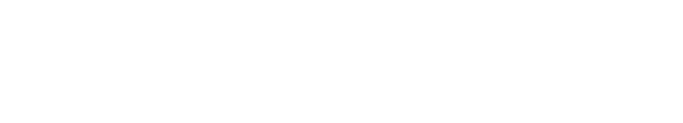 LOGO IROKO 2